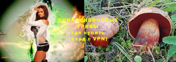 PSILOCYBIN Бронницы