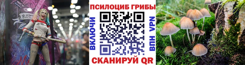 Галлюциногенные грибы Magic Shrooms  дарк нет как зайти  Ермолино 